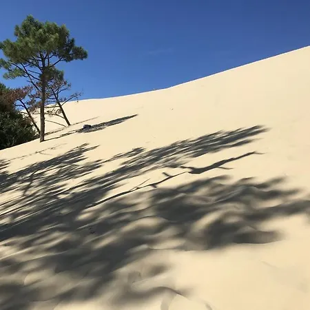 Ocean *
