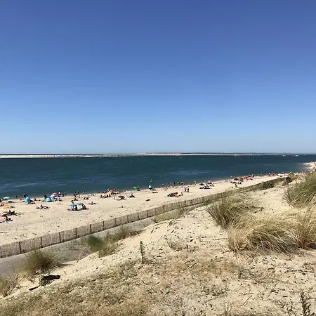 Ocean Holiday home Biscarrosse