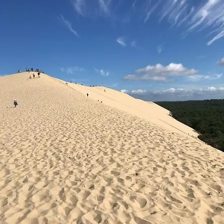 Holiday home Ocean Biscarrosse
